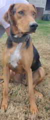 Chance photo 5