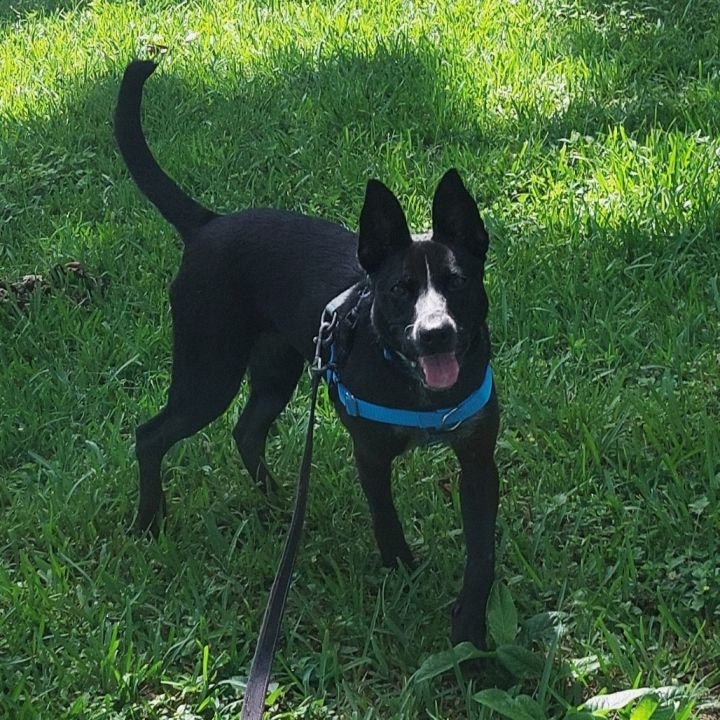 Lucy 5