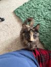 Cleo photo 3