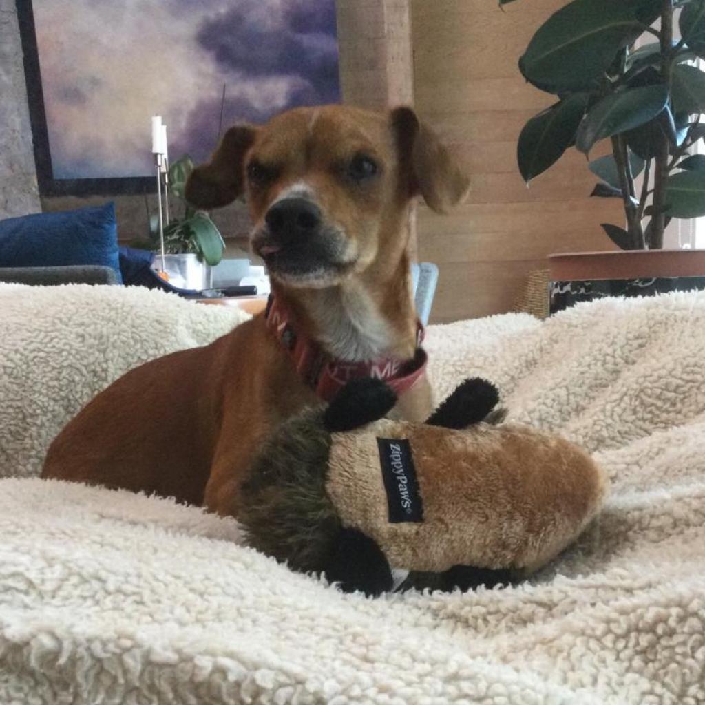 BELLA (formerly PRINCESS)
