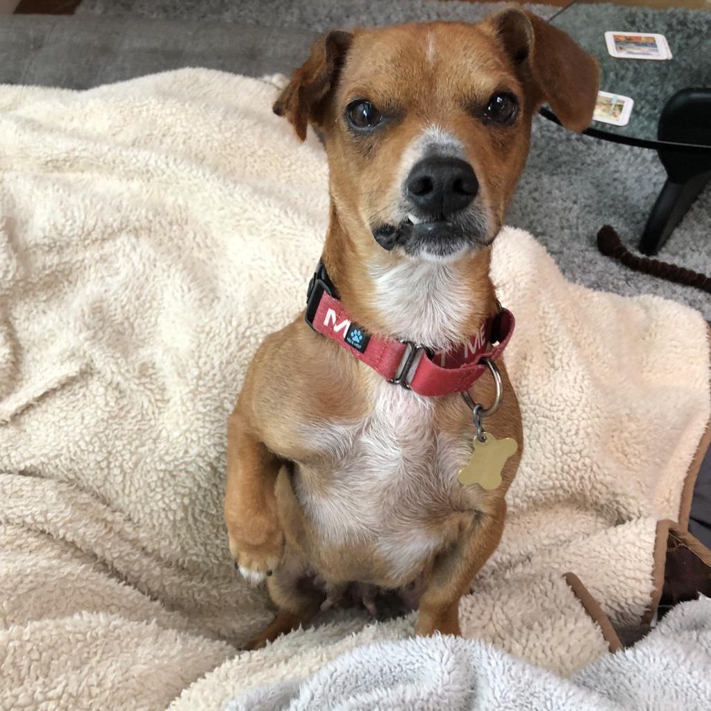 BELLA (formerly PRINCESS)