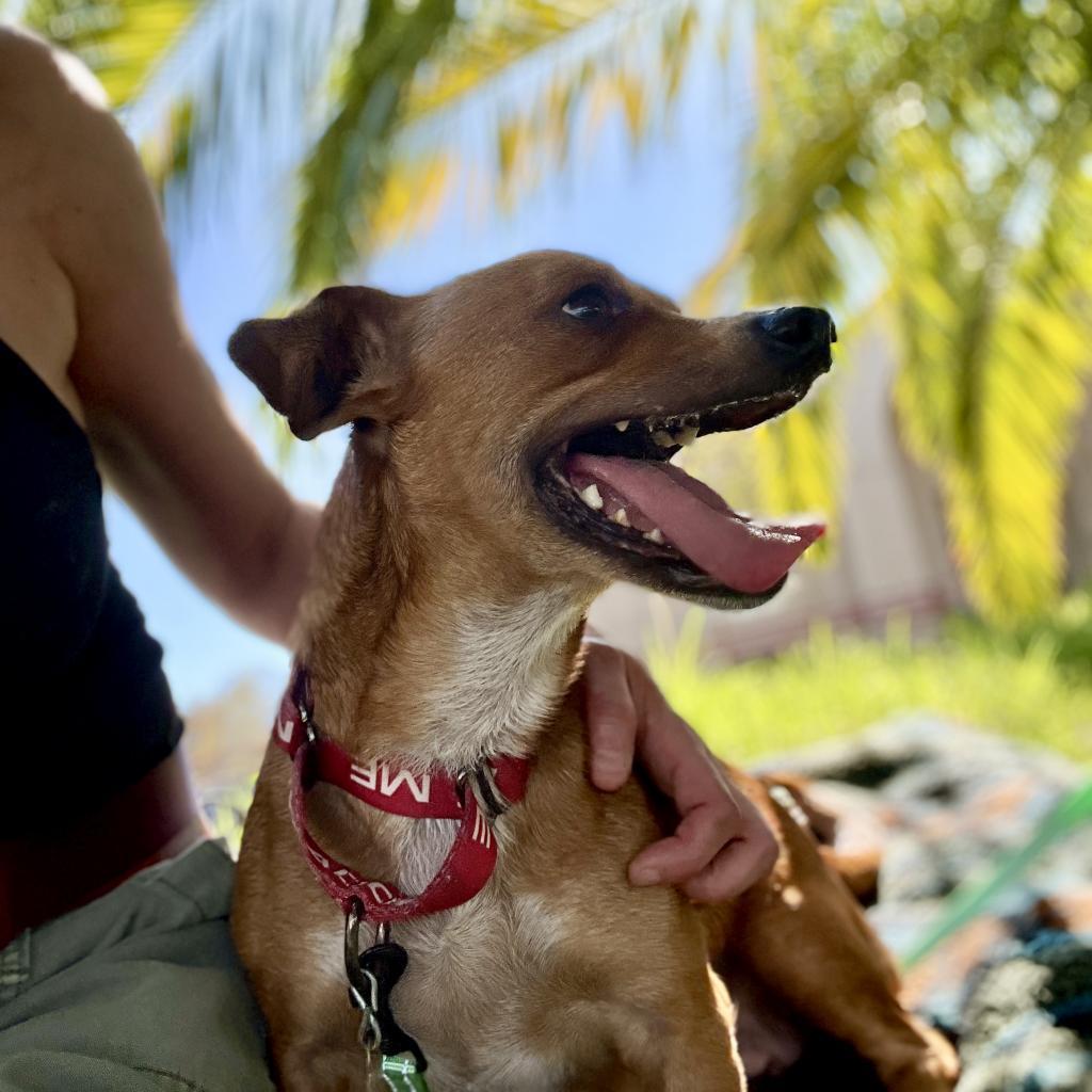 BELLA (formerly PRINCESS)
