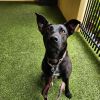 Roxy photo 2