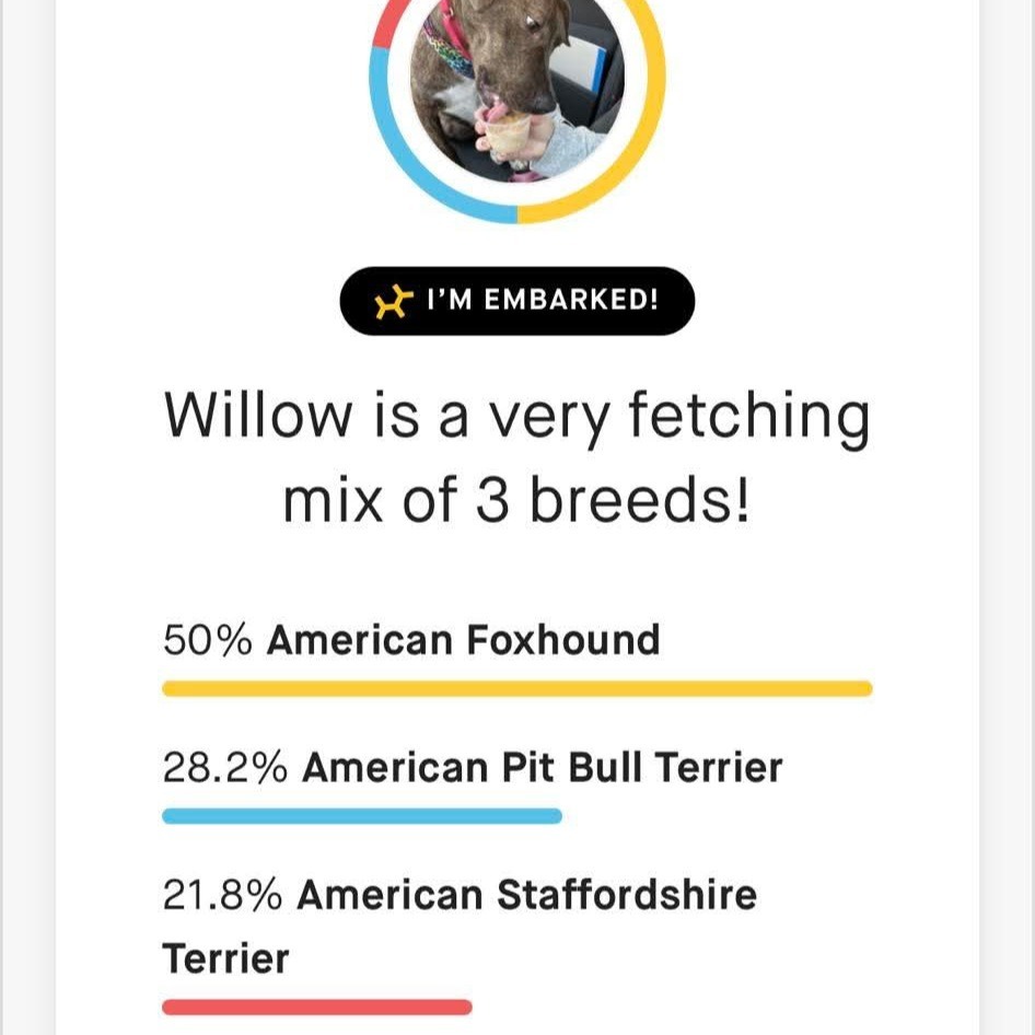 Willow