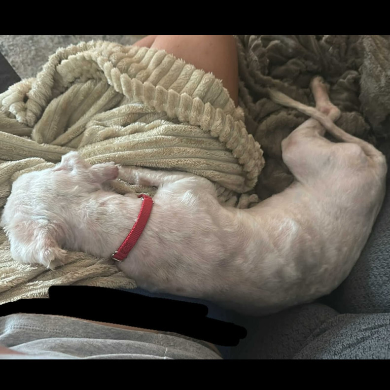 Ruffnut