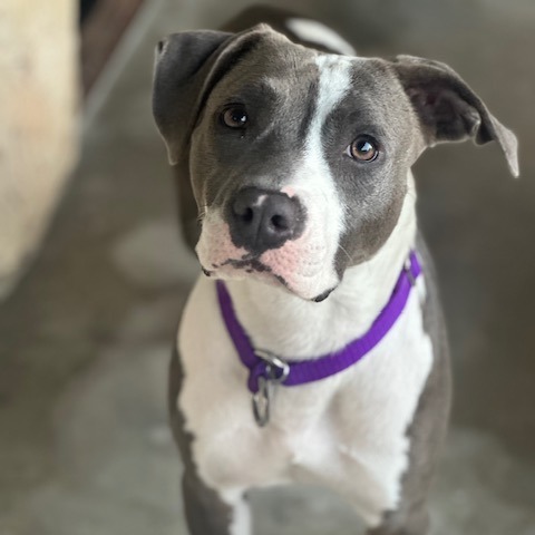Rosita
