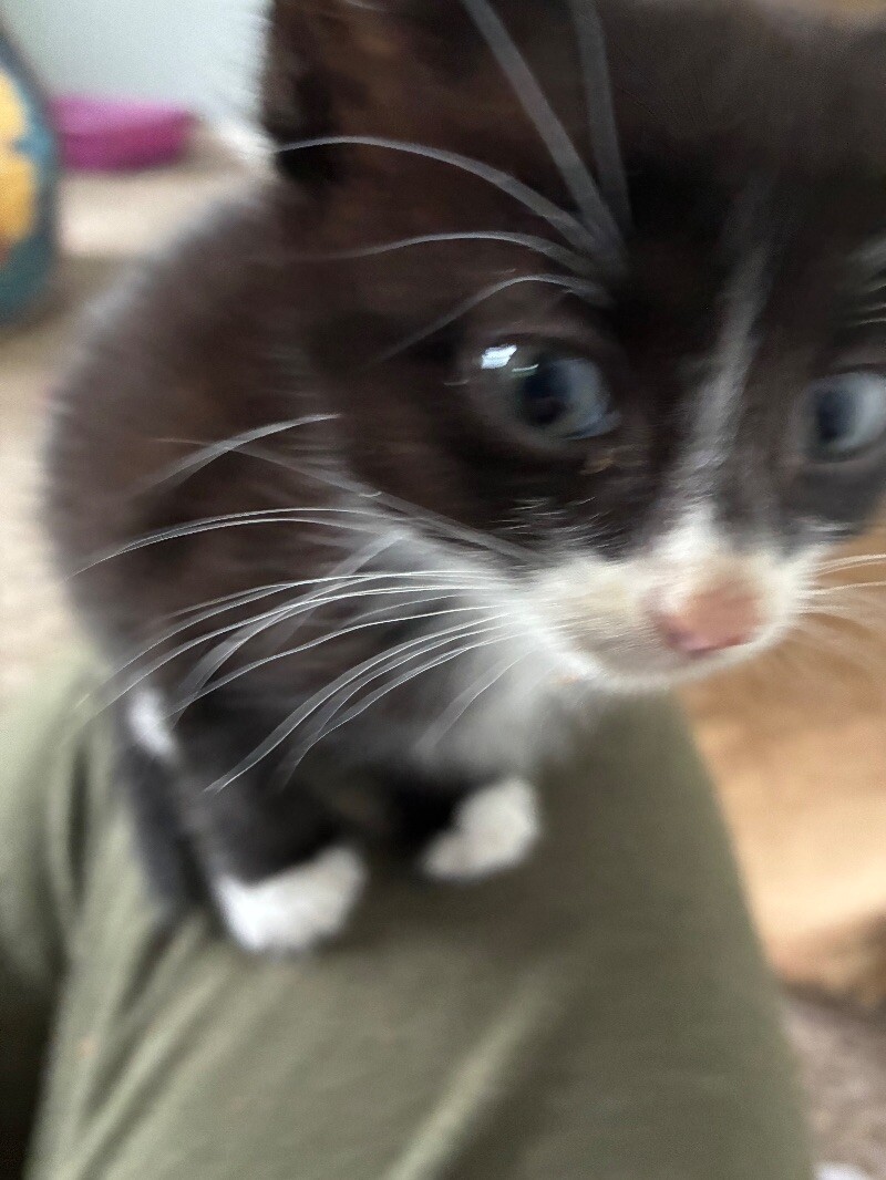 Paul