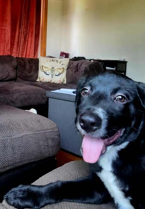 Louie