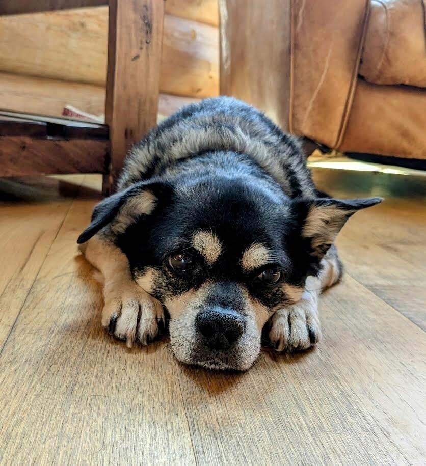 Tulo