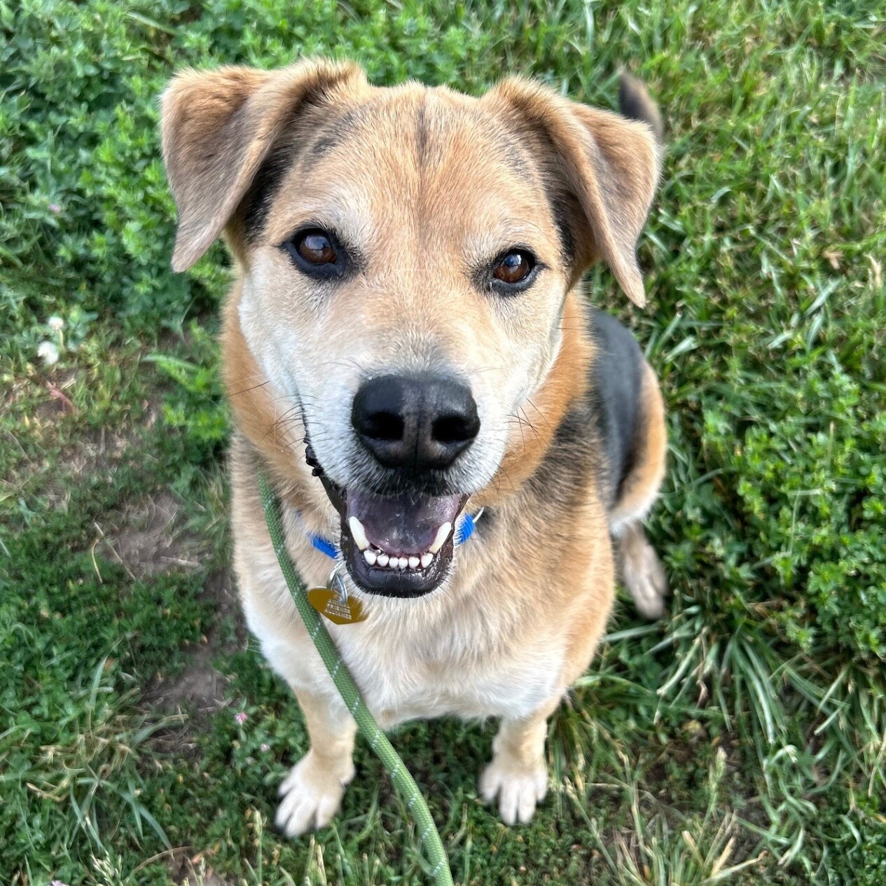 Rudy