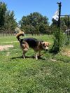 Rudy photo 4