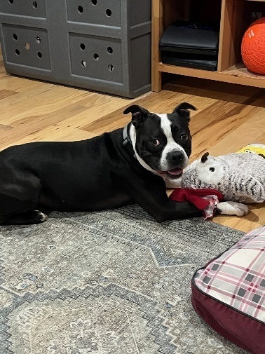 Roscoe