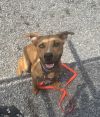 Zoomie photo 3