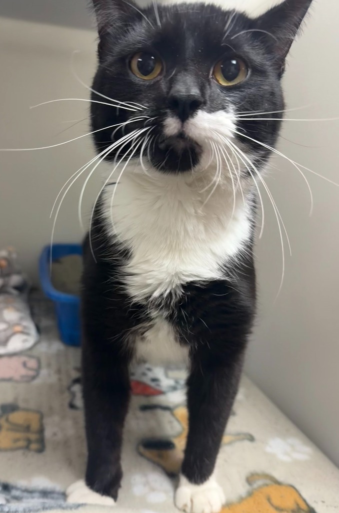 Max