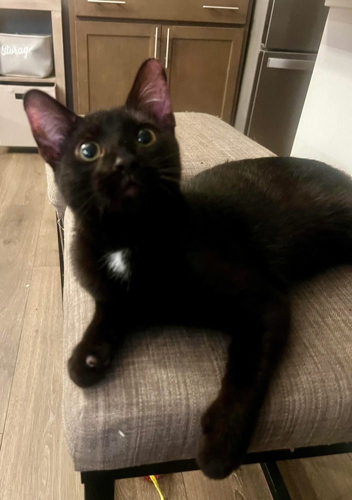 MILO