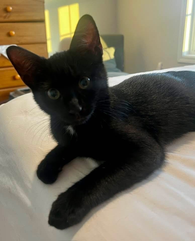 MILO