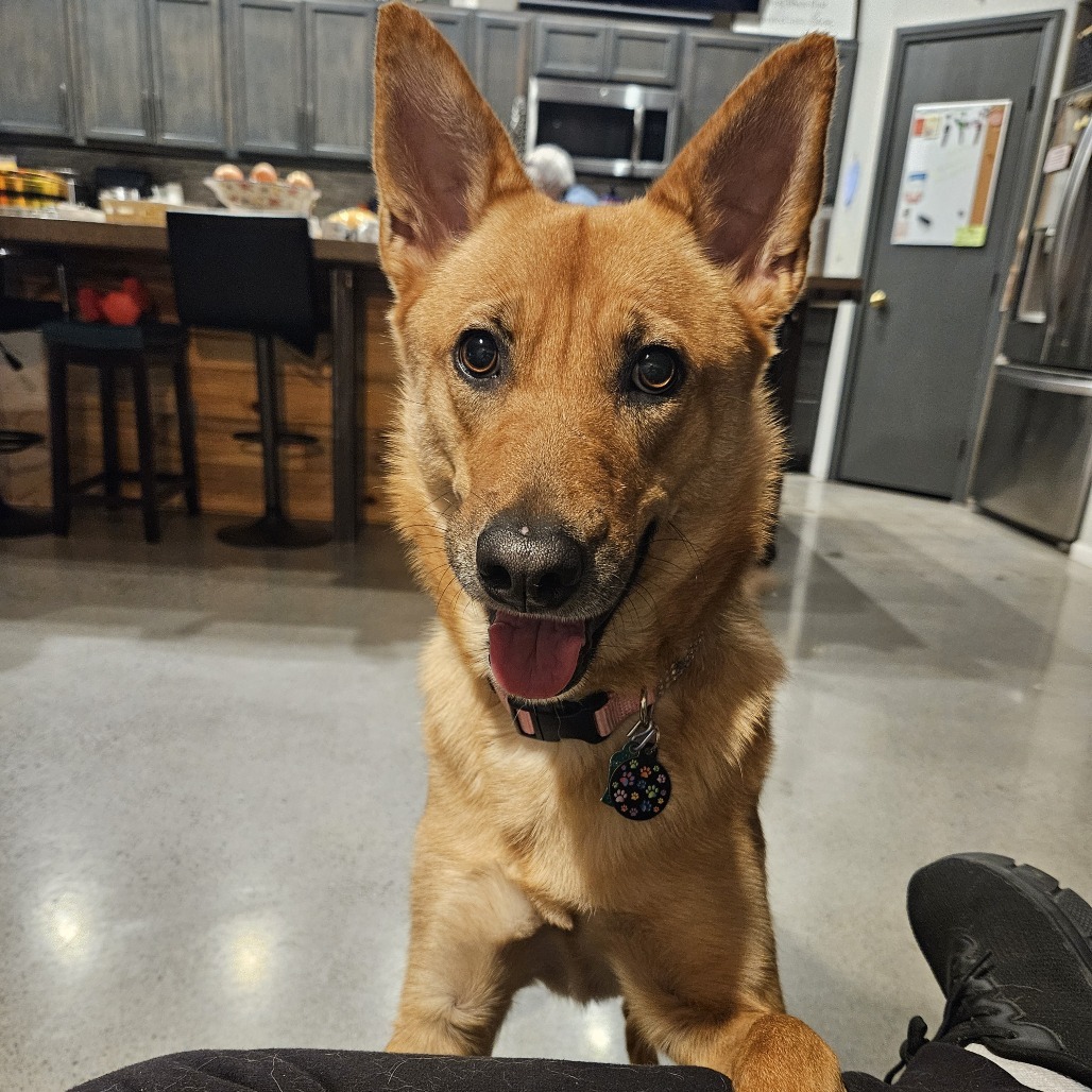 Gia