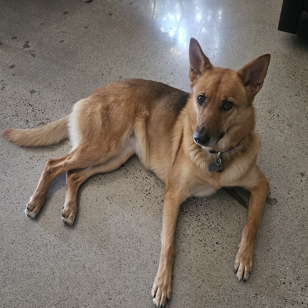 Gia