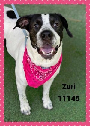 Primary Color White Secondary Color Black Weight 58lbs Age 4yrs 0mths 2wks