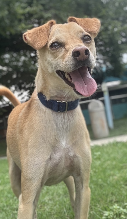 Nina