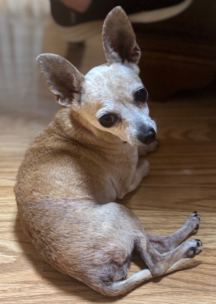 Tiny Pinson