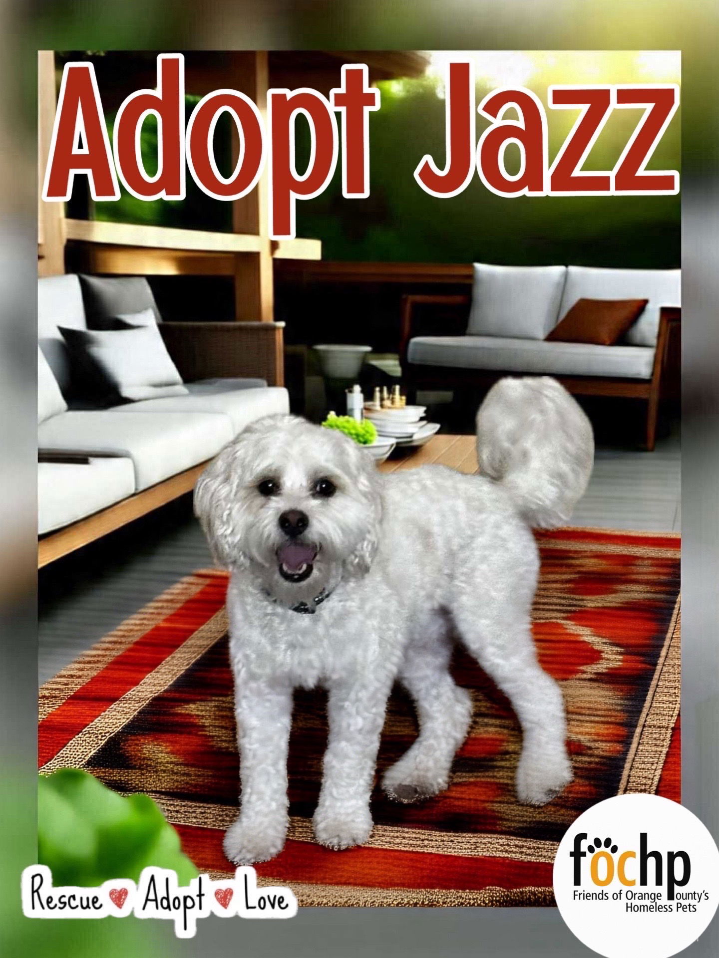 Jazz