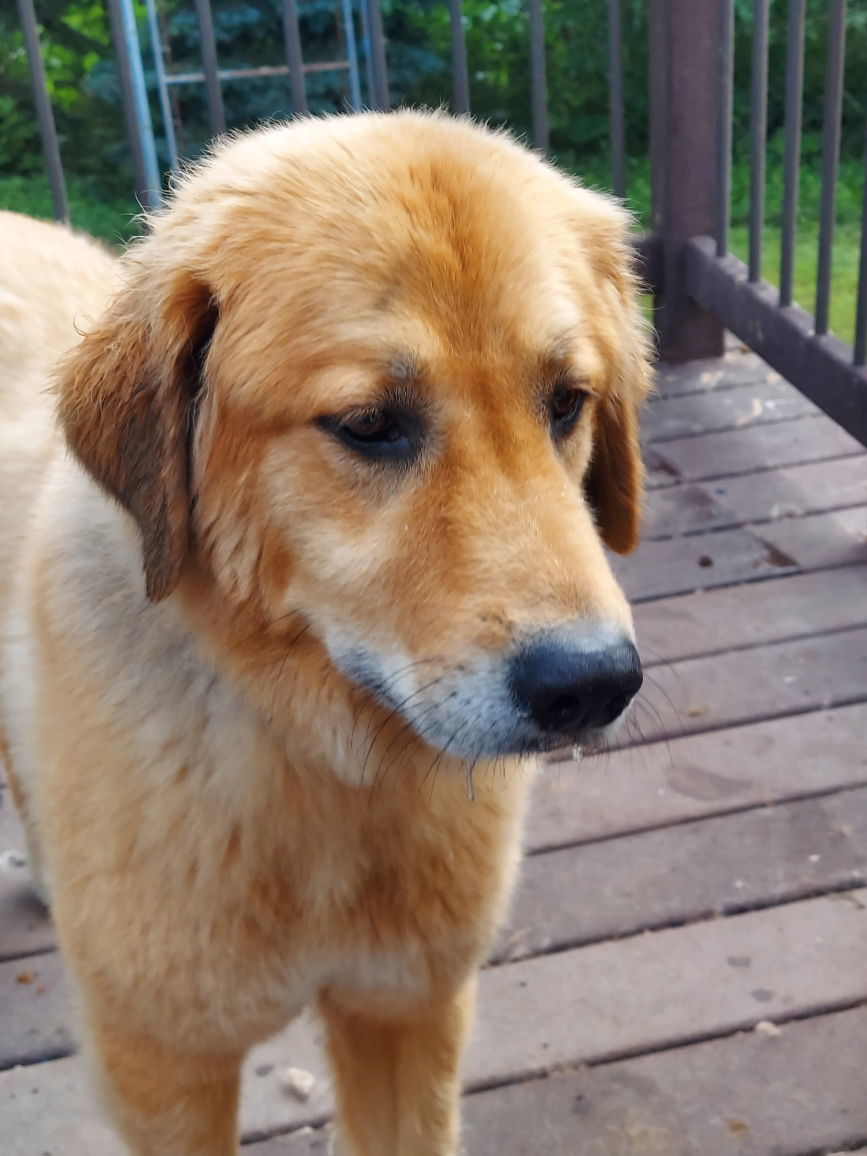 Tucker Boy