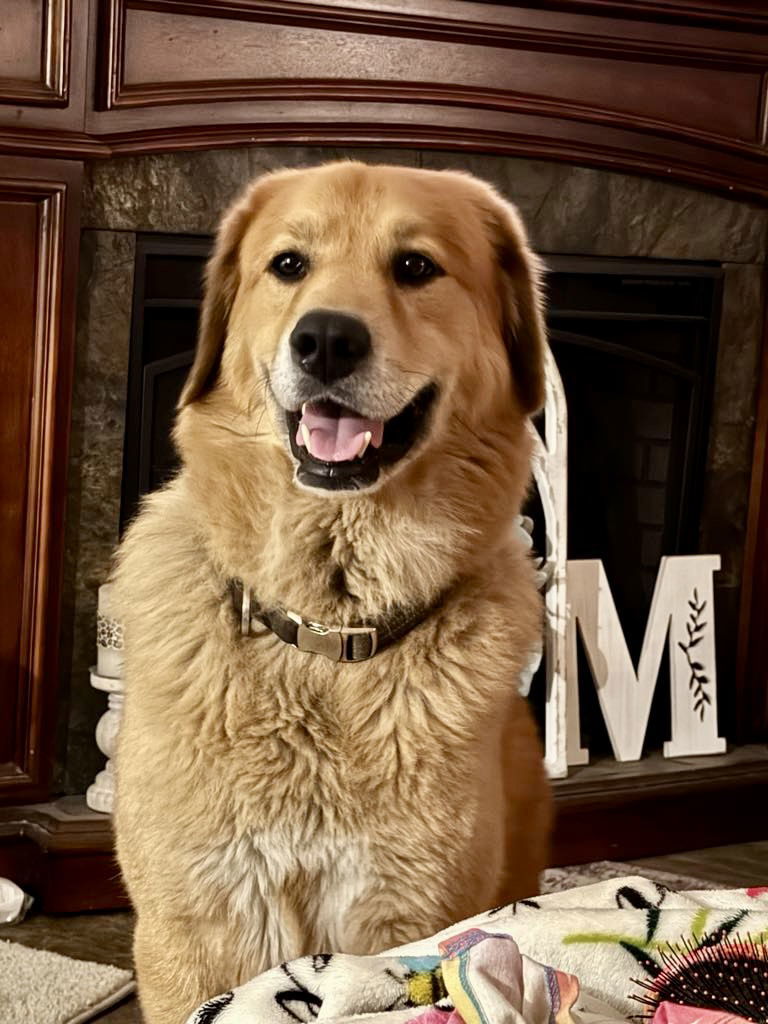 Tucker Boy