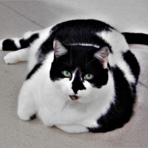 Bertha, Senior Female unknown