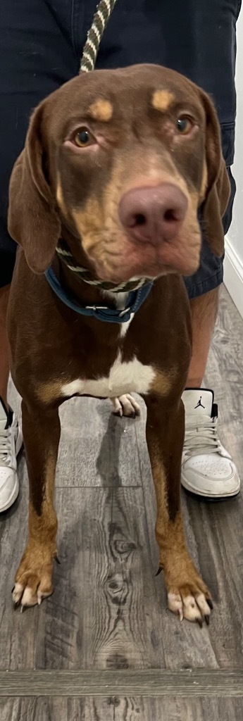Antonio