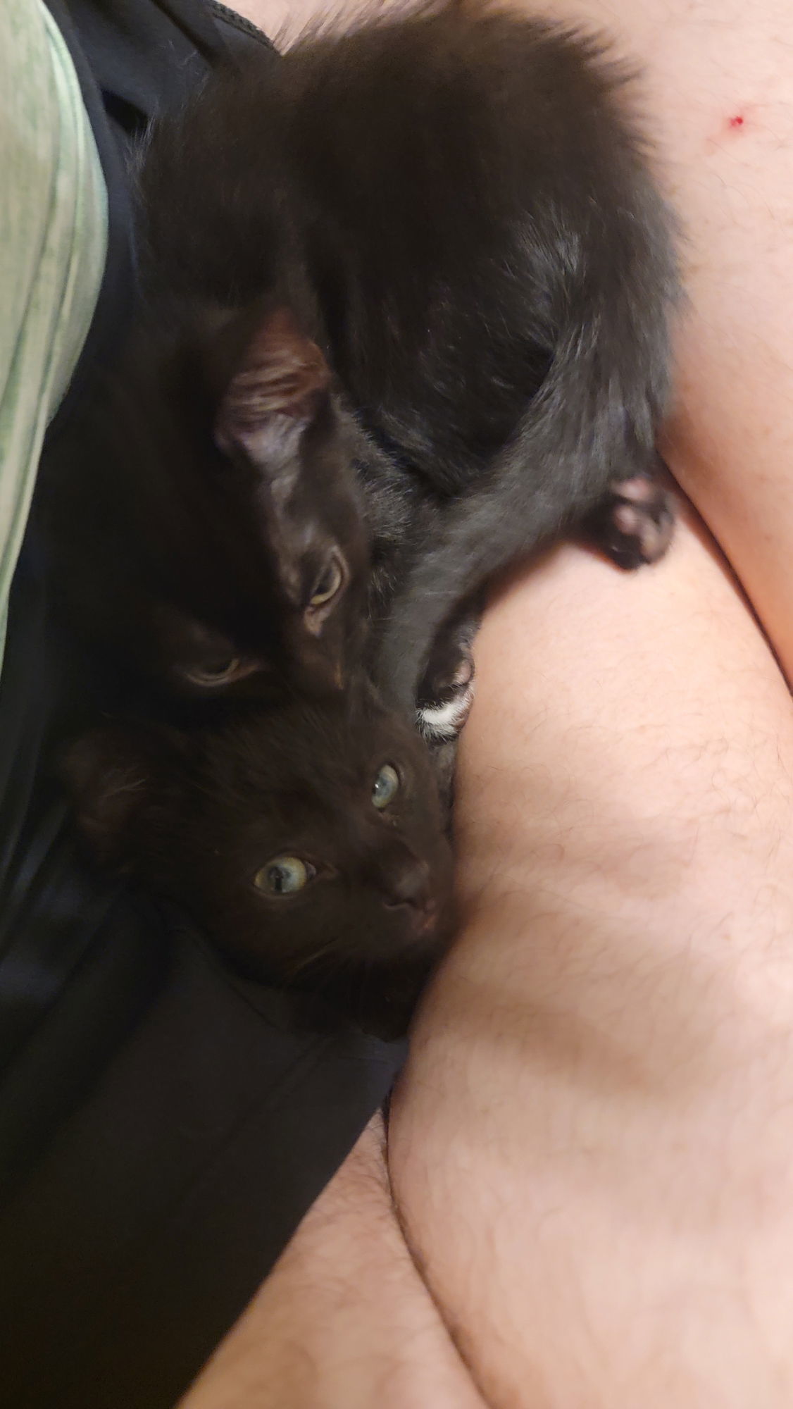 Steve