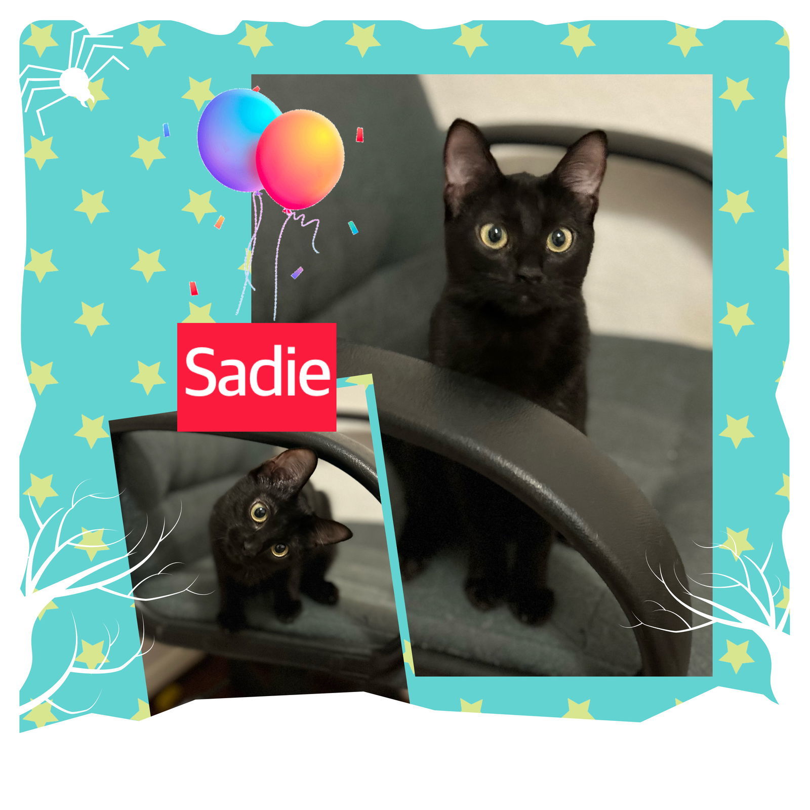 Sadie S