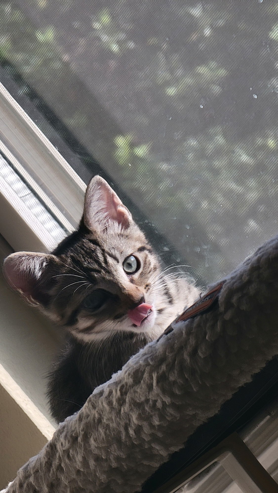 Chunk