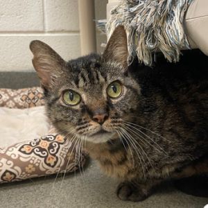 Cubby Franklin, Senior Male unknown