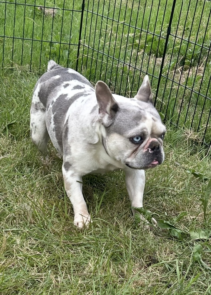 Wilma