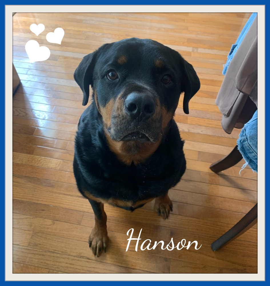 Hanson