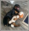 Hanson photo 6