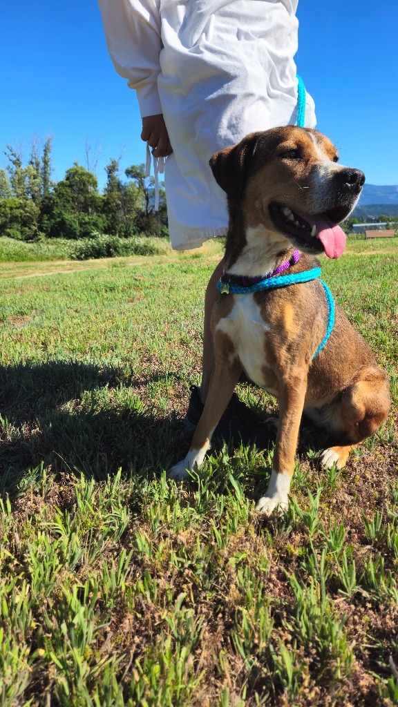 Copper