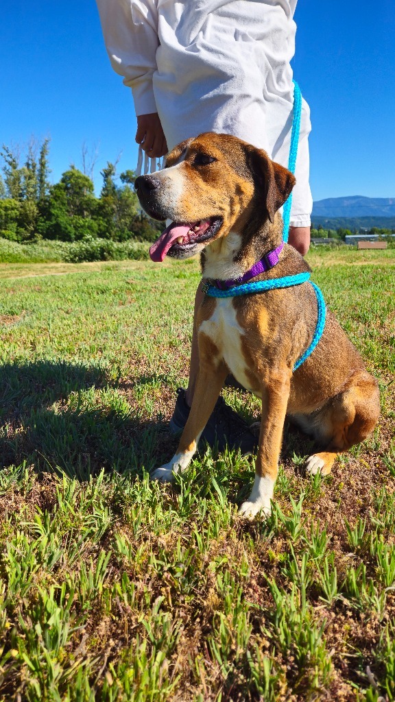 Copper