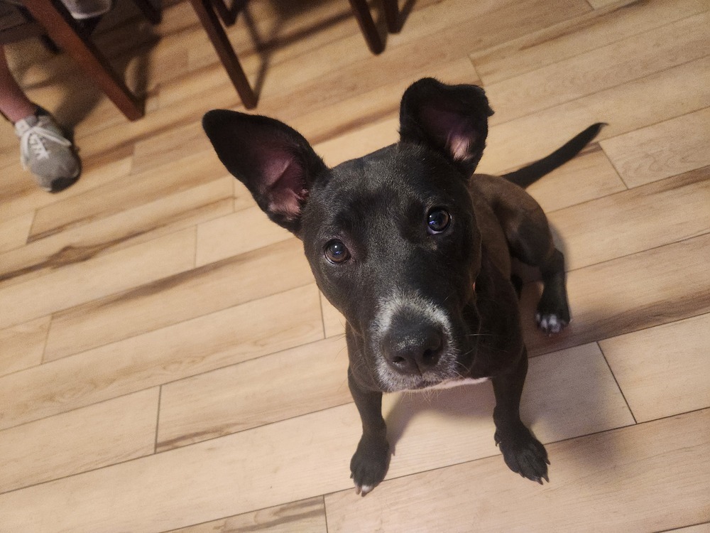 Ruby fka Ripken