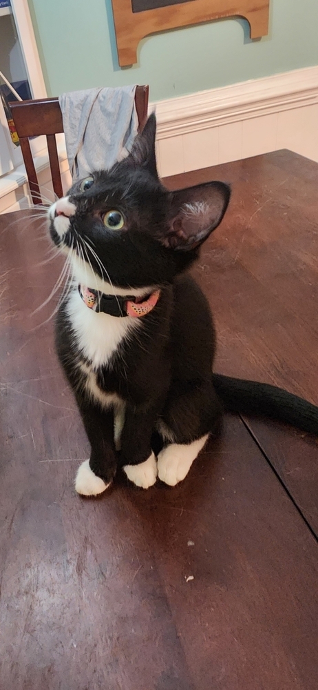 Peanut