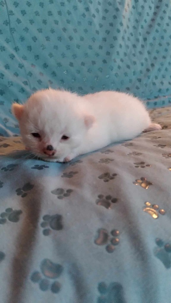 Alaska