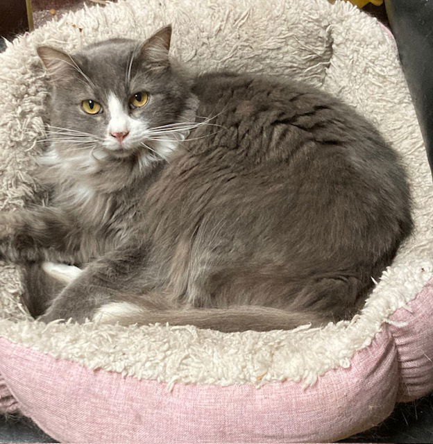 Floof