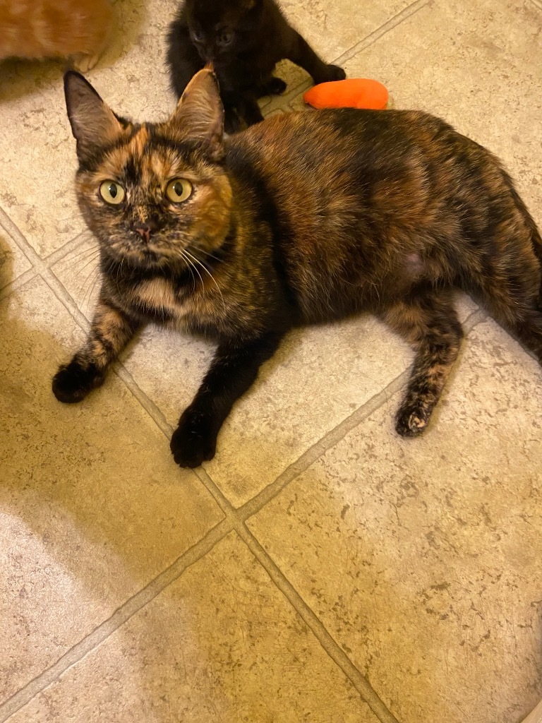 Winifred