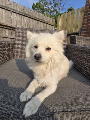Yuki
