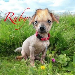 Ruby