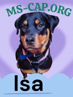 Isa