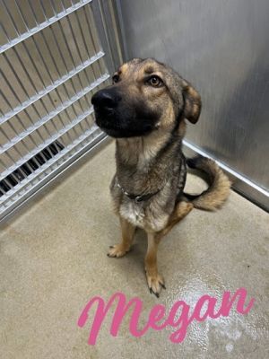 Megan