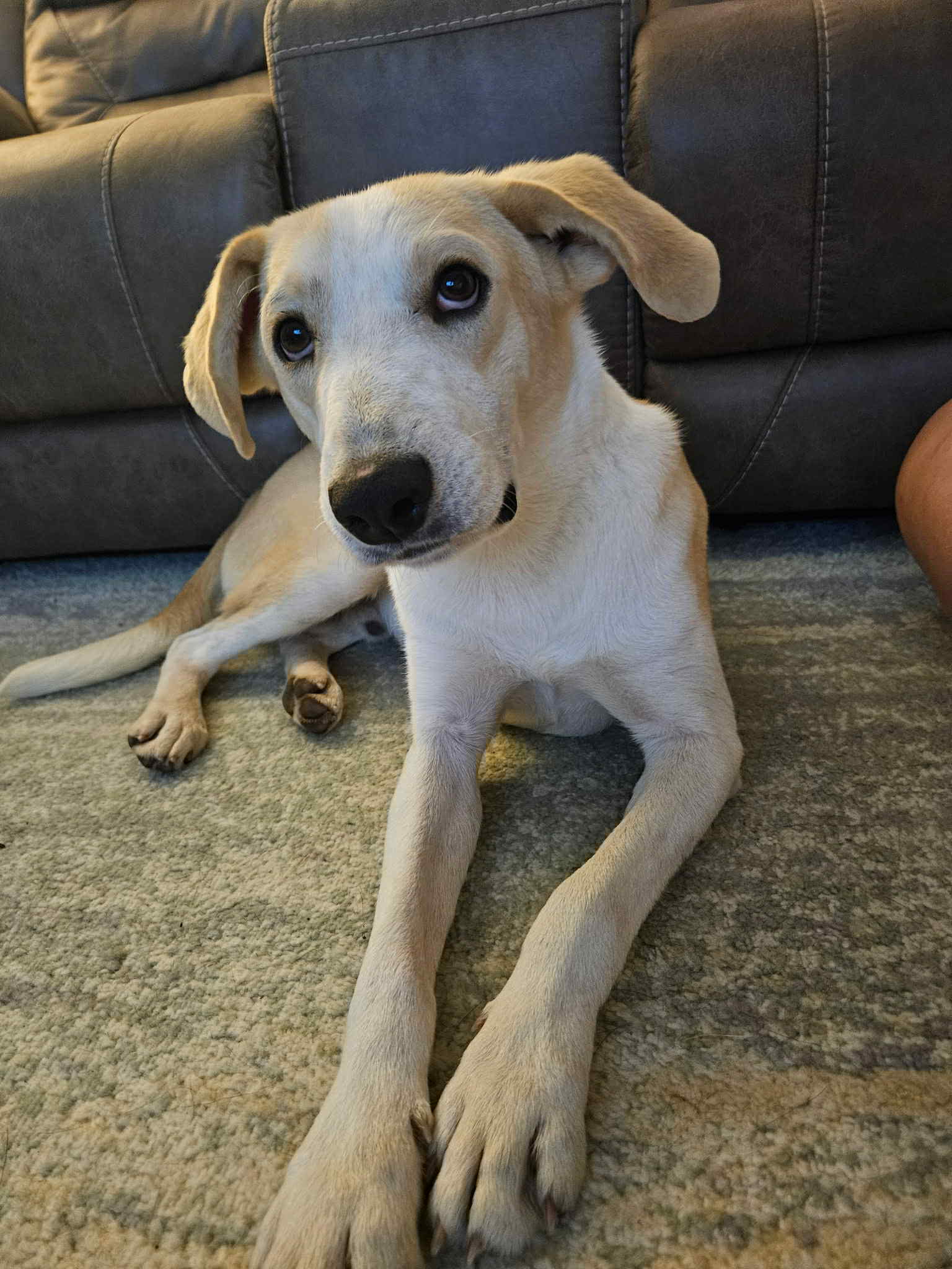 Sid