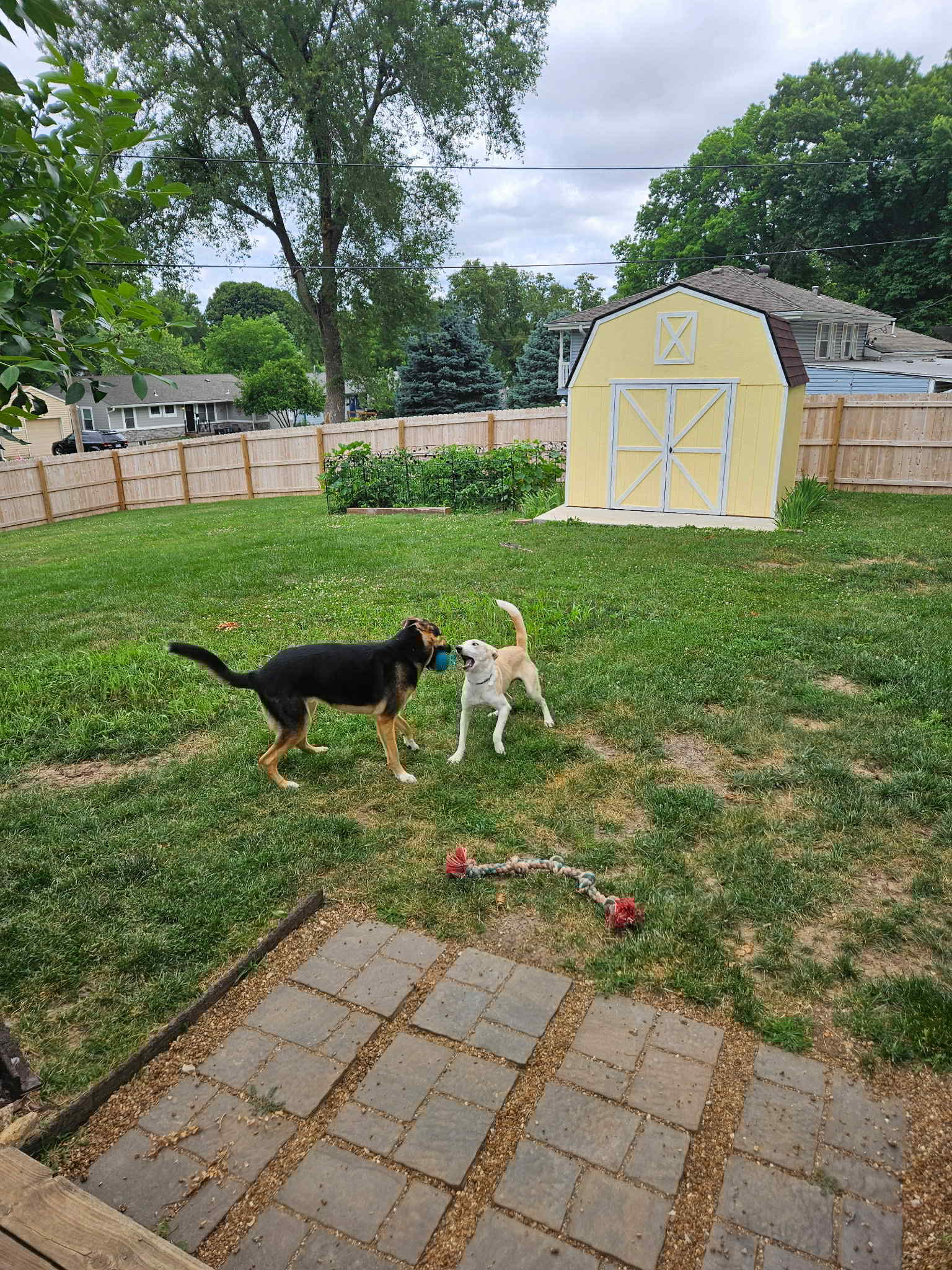 Sid